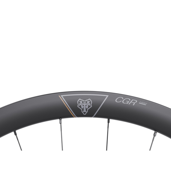 WTB Koło CGR i28x700 tył 142x12 SH 11sp 24 center.